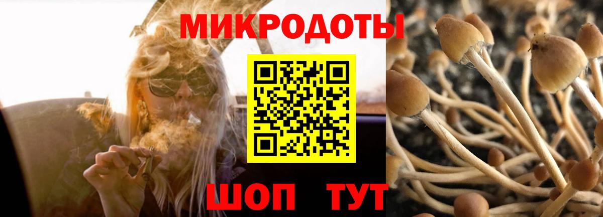 Северск  Псилоцибиновые грибы Magic Shrooms  Вход с VPN 