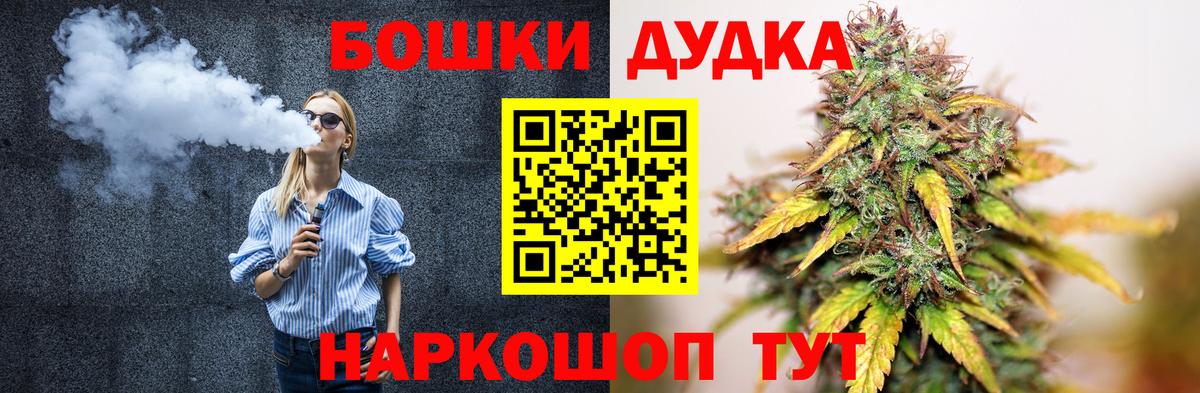 Конопля сатива Северск